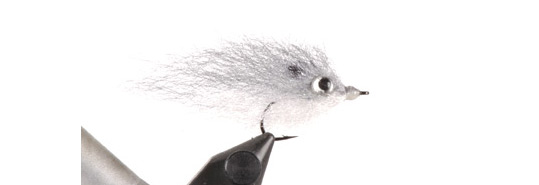 Puglisi Threadfin Shad